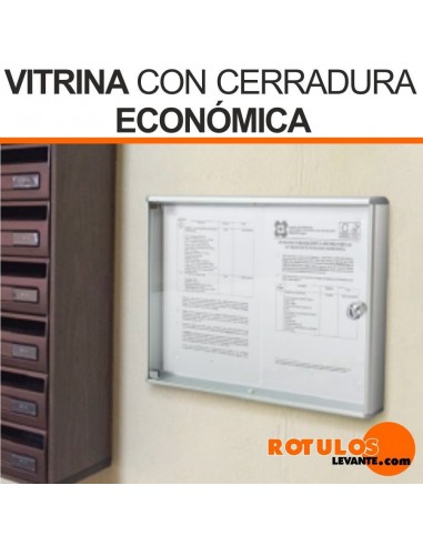 Vitrina cerradura económica