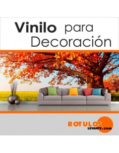 Vinilos impreso decoración tienda