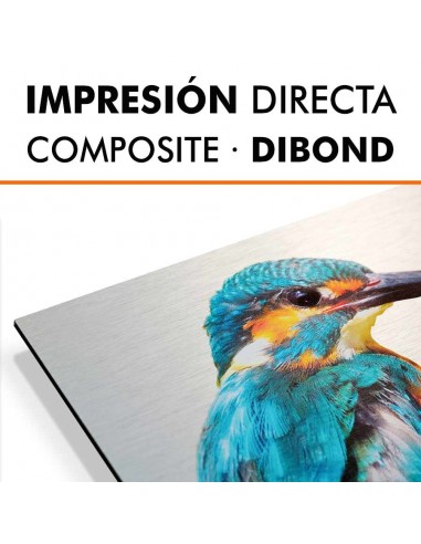 Impresión directa Dibond