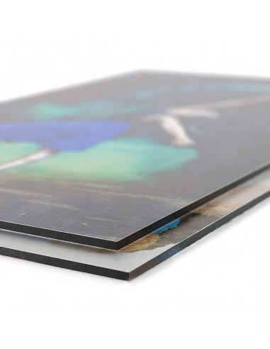 Impresión directa Dibond