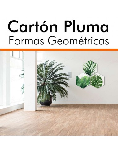 COLLAGE CARTÓN PLUMA