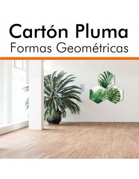 COLLAGE CARTÓN PLUMA