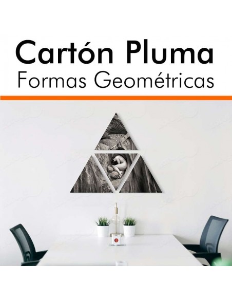 COLLAGE CARTÓN PLUMA