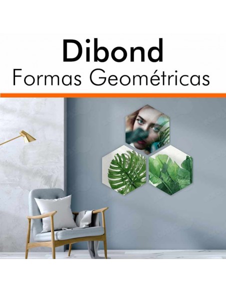 COLLAGE DIBOND IMPRESO
