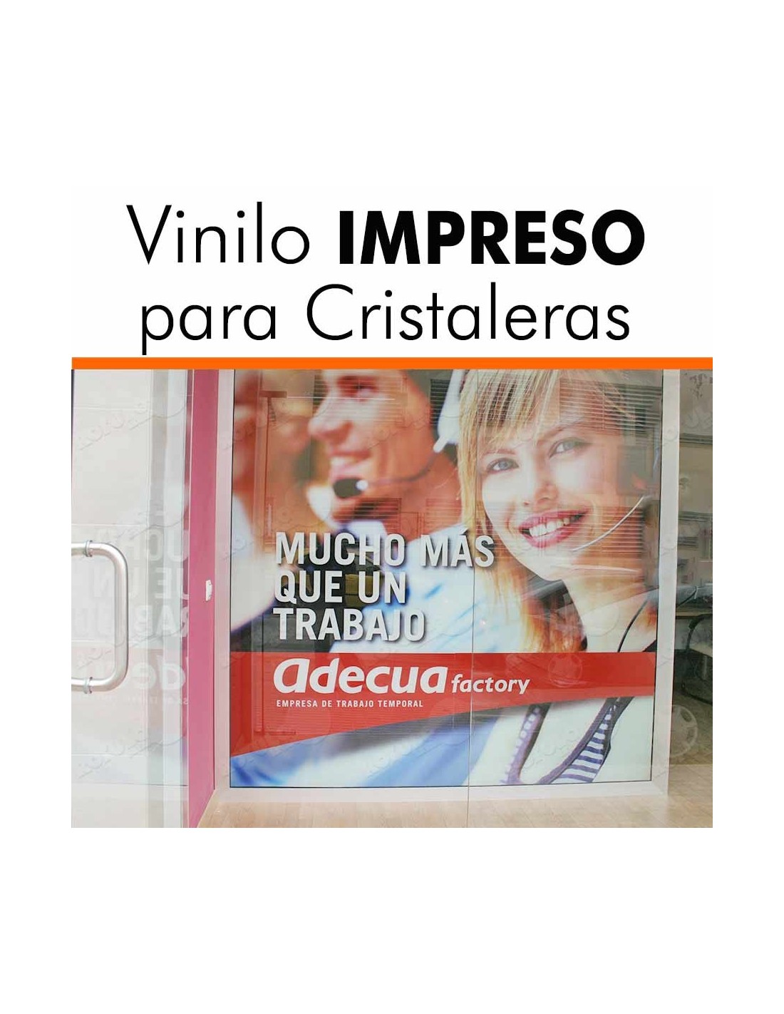 Vinilo Impreso para Cristalera