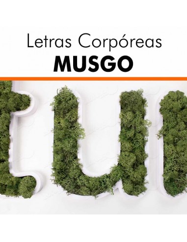Letras corpóreas musgo
