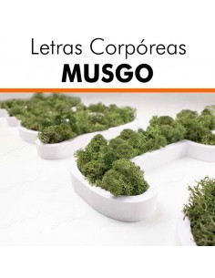 Letras corpóreas musgo 2