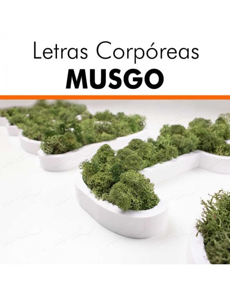 Letras corpóreas musgo