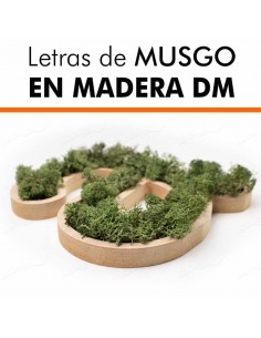 Letras de musgo en DM 2