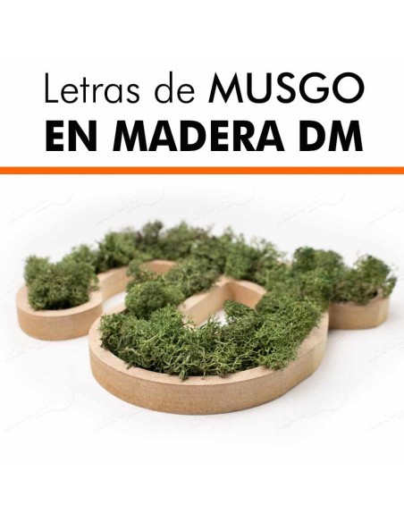 Letras de musgo en DM