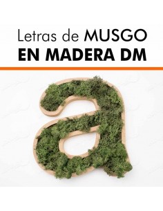 Letras de musgo en DM