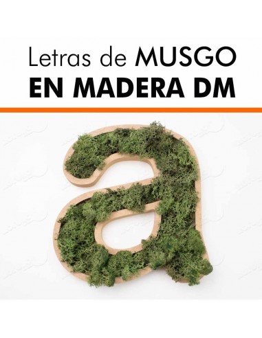 Letras de musgo en DM