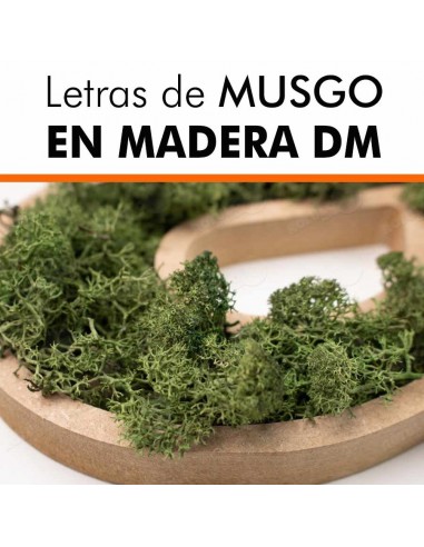 Letras de musgo en DM
