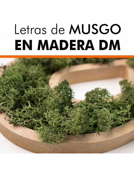 Letras de musgo en DM