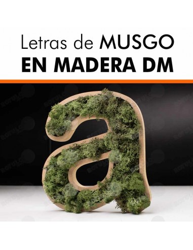 Letras de musgo en DM