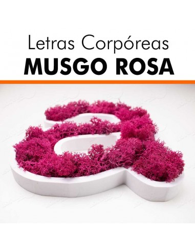 Letras pvc musgo rosa