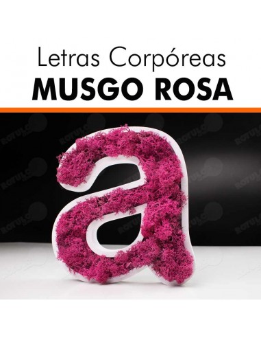 Letras pvc musgo rosa