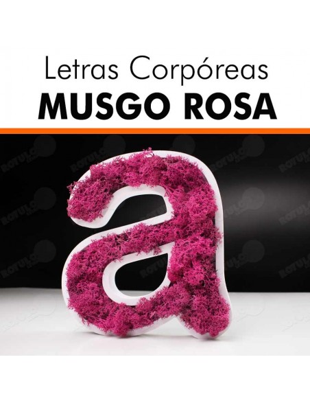 Letras pvc musgo rosa