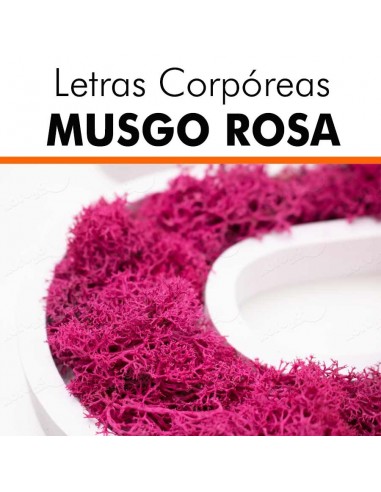 Letras pvc musgo rosa