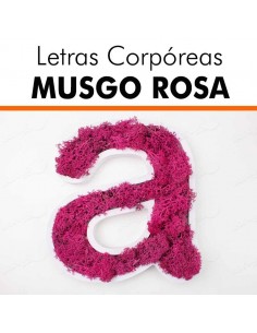 Letras pvc musgo rosa