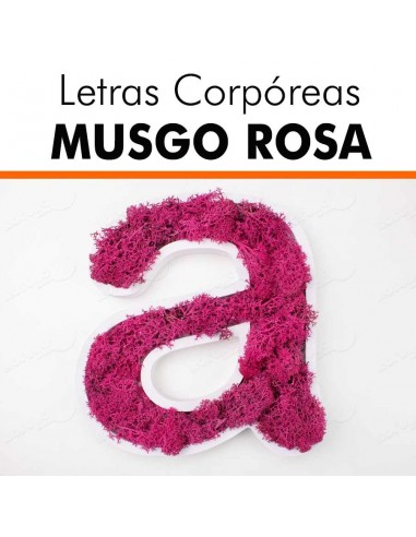 Letras pvc musgo rosa