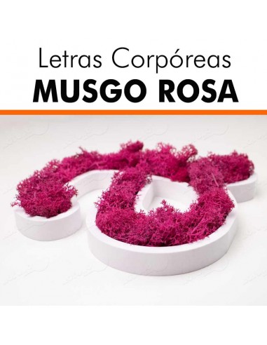 Letras pvc musgo rosa