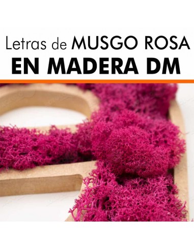 Letras de musgo ROSA en DM