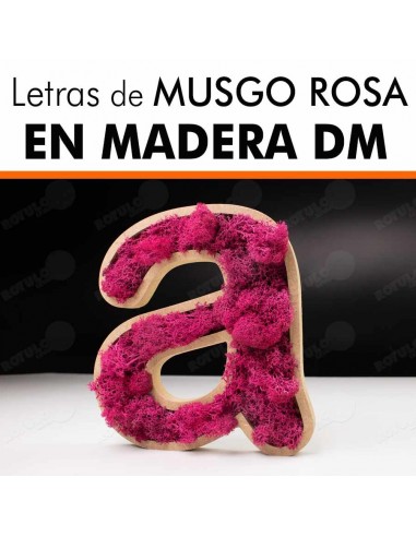 Letras de musgo ROSA en DM