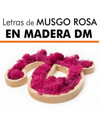 Letras de musgo ROSA en DM