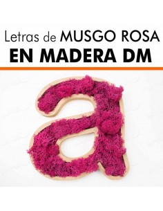 Letras de musgo ROSA en DM