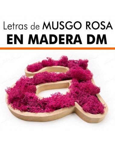 Letras de musgo ROSA en DM