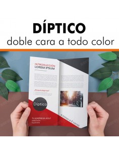 DIPTICOS ECÓNOMICOS