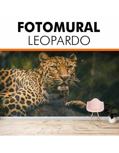 Foto mural personalizado LEOPARDO