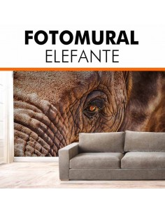 Foto mural personalizado ELEFANTE