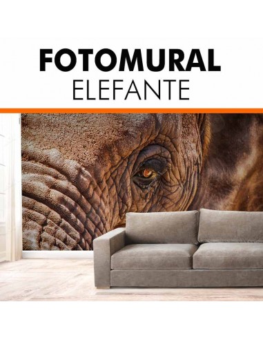 Foto mural personalizado ELEFANTE