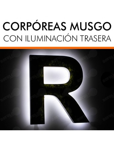 LETRAS MUSGO PRESERVADO LUMINOSAS