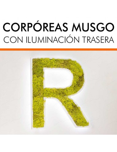 LETRAS MUSGO PRESERVADO LUMINOSAS