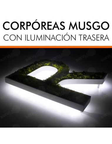 LETRAS MUSGO PRESERVADO LUMINOSAS