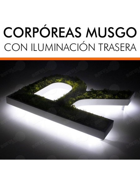 LETRAS MUSGO PRESERVADO LUMINOSAS