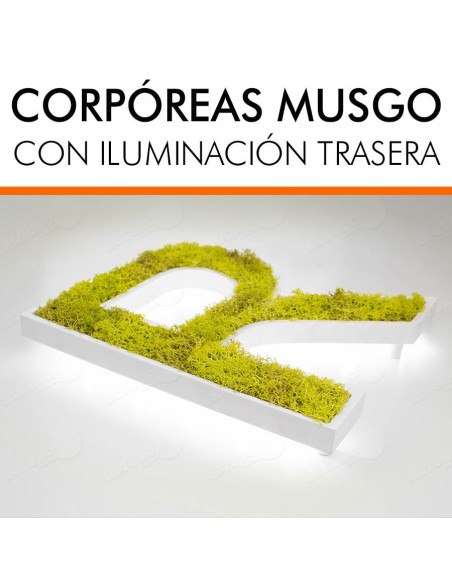 LETRAS MUSGO PRESERVADO LUMINOSAS