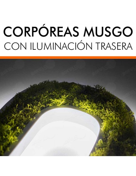 LETRAS MUSGO PRESERVADO LUMINOSAS