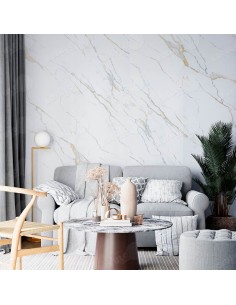 Panel decorativo marmoleado con vetas plata 2