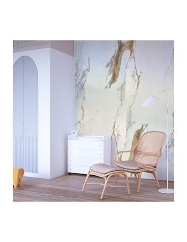 Blanco calma la placa decorativa que aporta luz y elegancia