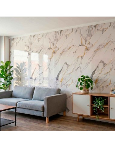 Panel decorativo interior con vetas doradas efecto mármol